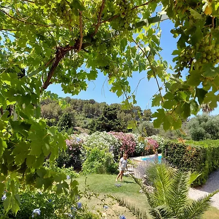 Mas Chamarel, La Provence Entre Vignes Et Oliviers Proche De La * Sanary-sur-Mer