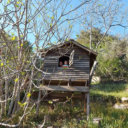 Mas Chamarel, La Provence Entre Vignes Et Oliviers Proche De La Ferienhaus