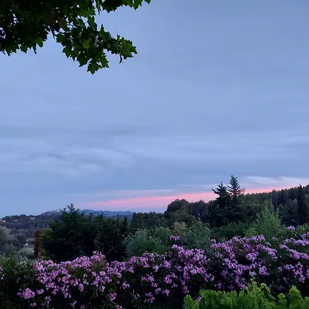 Mas Chamarel, La Provence Entre Vignes Et Oliviers Proche De La Ferienhaus Sanary-sur-Mer