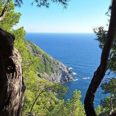 Mas Chamarel, La Provence Entre Vignes Et Oliviers Proche De La Sanary-sur-Mer