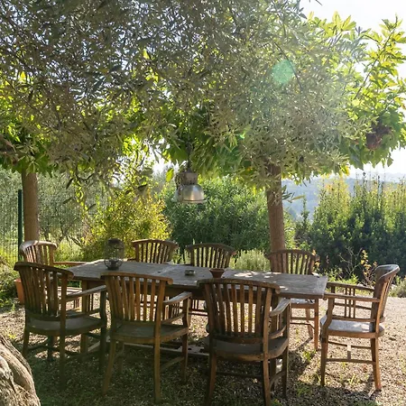 Mas Chamarel, La Provence Entre Vignes Et Oliviers Proche De La Ferienhaus